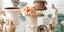 Antiques - Garden