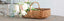 Antiques - Accents - Accessories