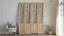 Antique Glass Door Set