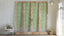 Antique Pale Green Glass Door Set