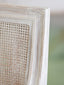 Hugo Cane Bergère in Celadon Chenille and Pale Poplar Finish