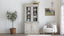 Antique Painted Glass Door Cabinet