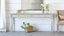 Herra Console in Potter's Clay and Gold Finish