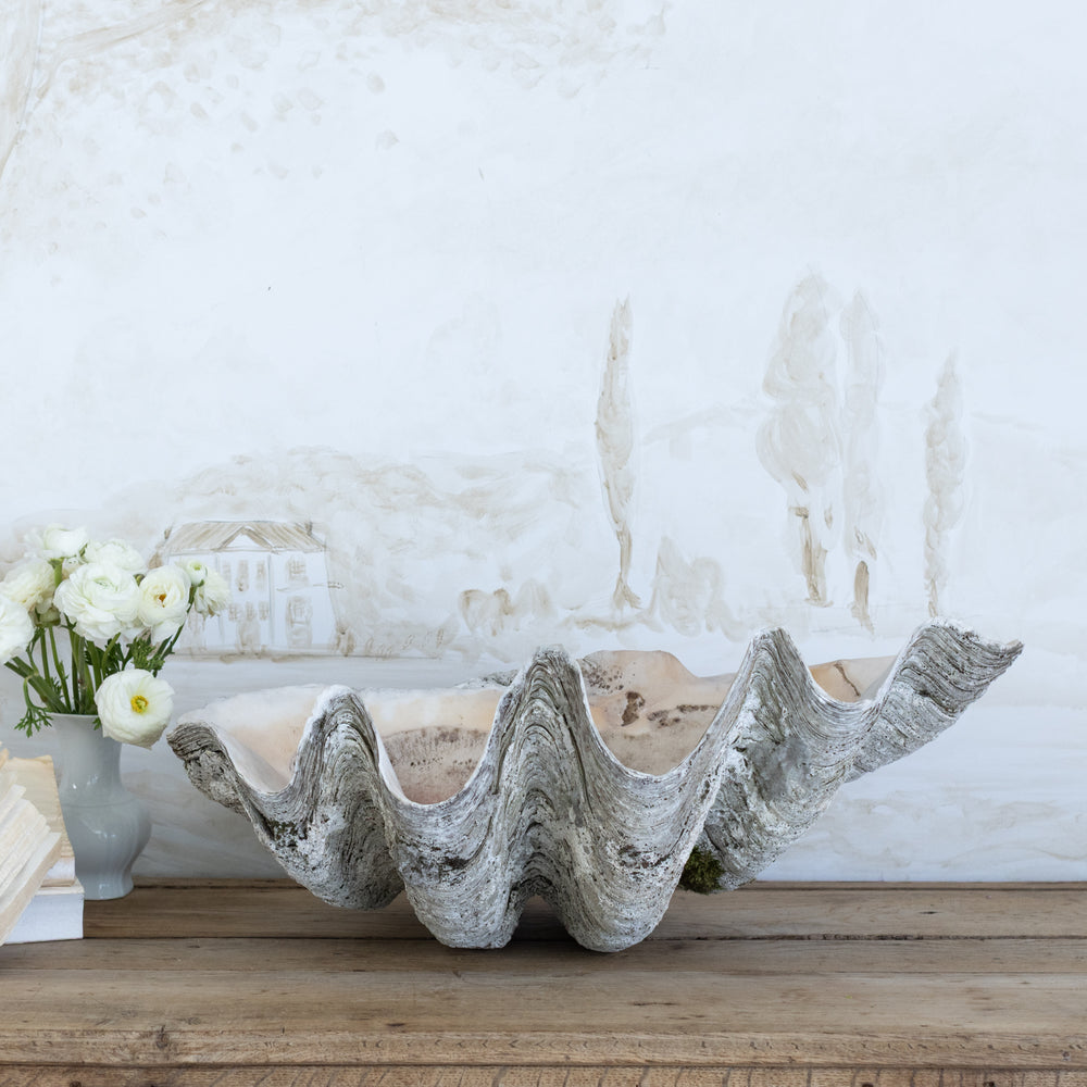 Antique Decorative Seashell