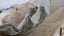 Antique Decorative Seashell
