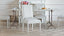 Francois Dining Chair in Fawn Velvet and Porcelain White Finish
