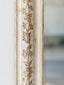 Venetia Mirror in Hand Painted Flora Finish