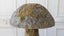 Set of Antique Stone Garden Mushrooms