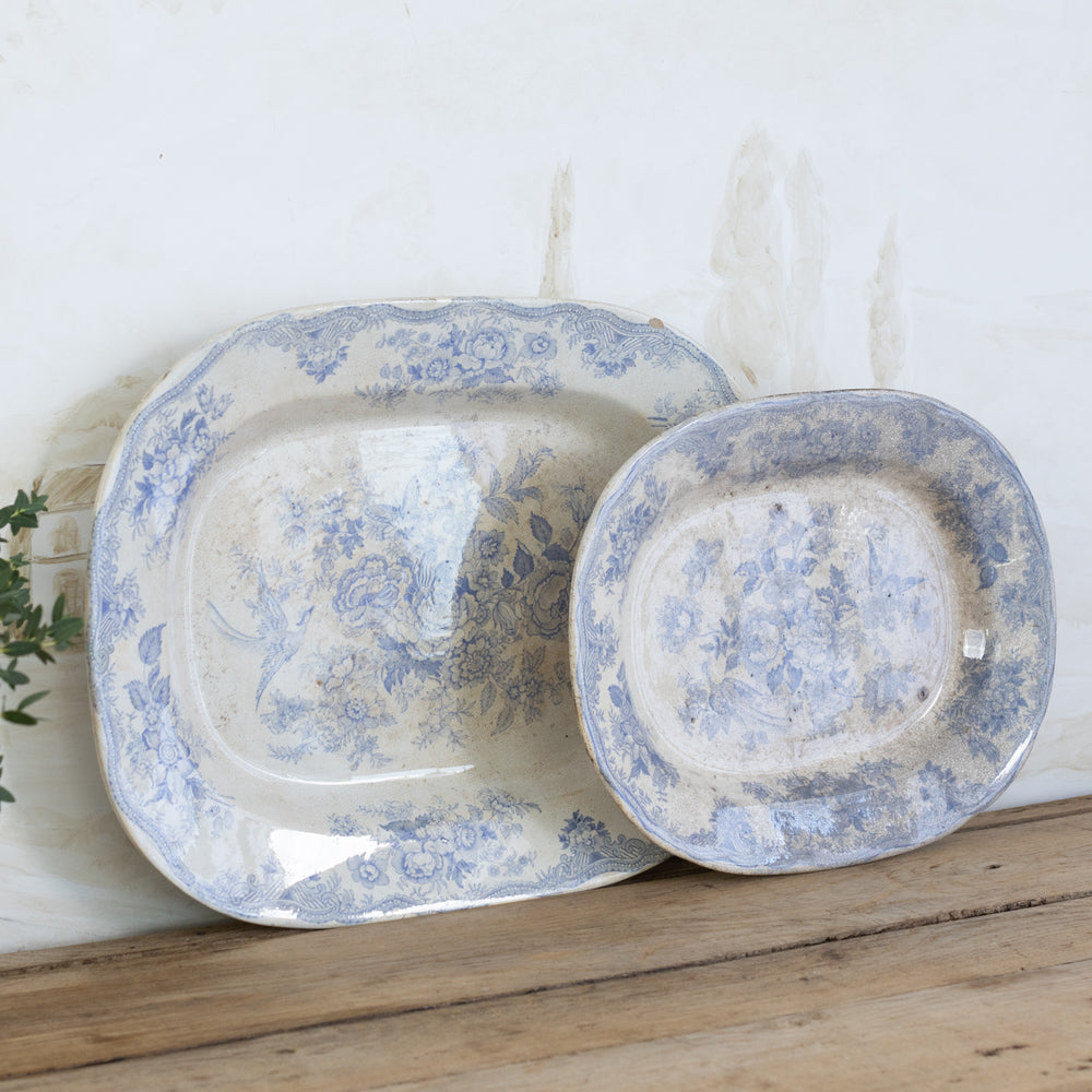 Antique Decorative Plates