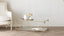 Mid Century Modern Coffee Table
