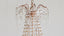 Rocca Chandelier in Champagne Gold Finish